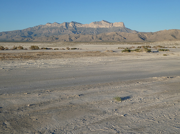 Playas in Salt Basin, New Mexico, with Guadalupe Mountains in background. Photo by Shari Kelley