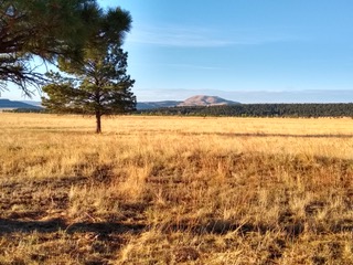 View of Cerro Pelon from Twin Willows Ranch near Ocate, NM.