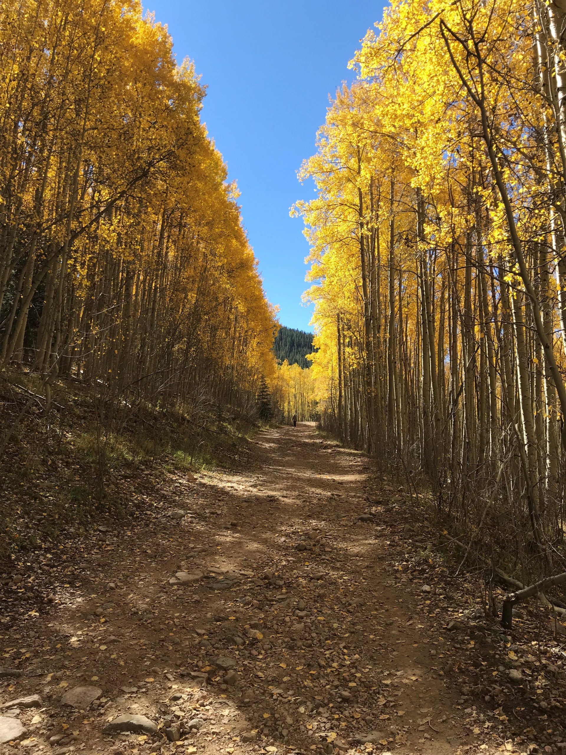 Sangre de Cristo. Photo by Jeffrey Samson