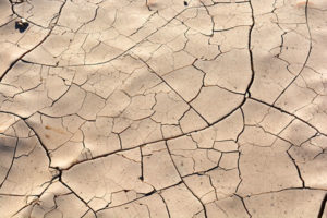 drought stricken landscape